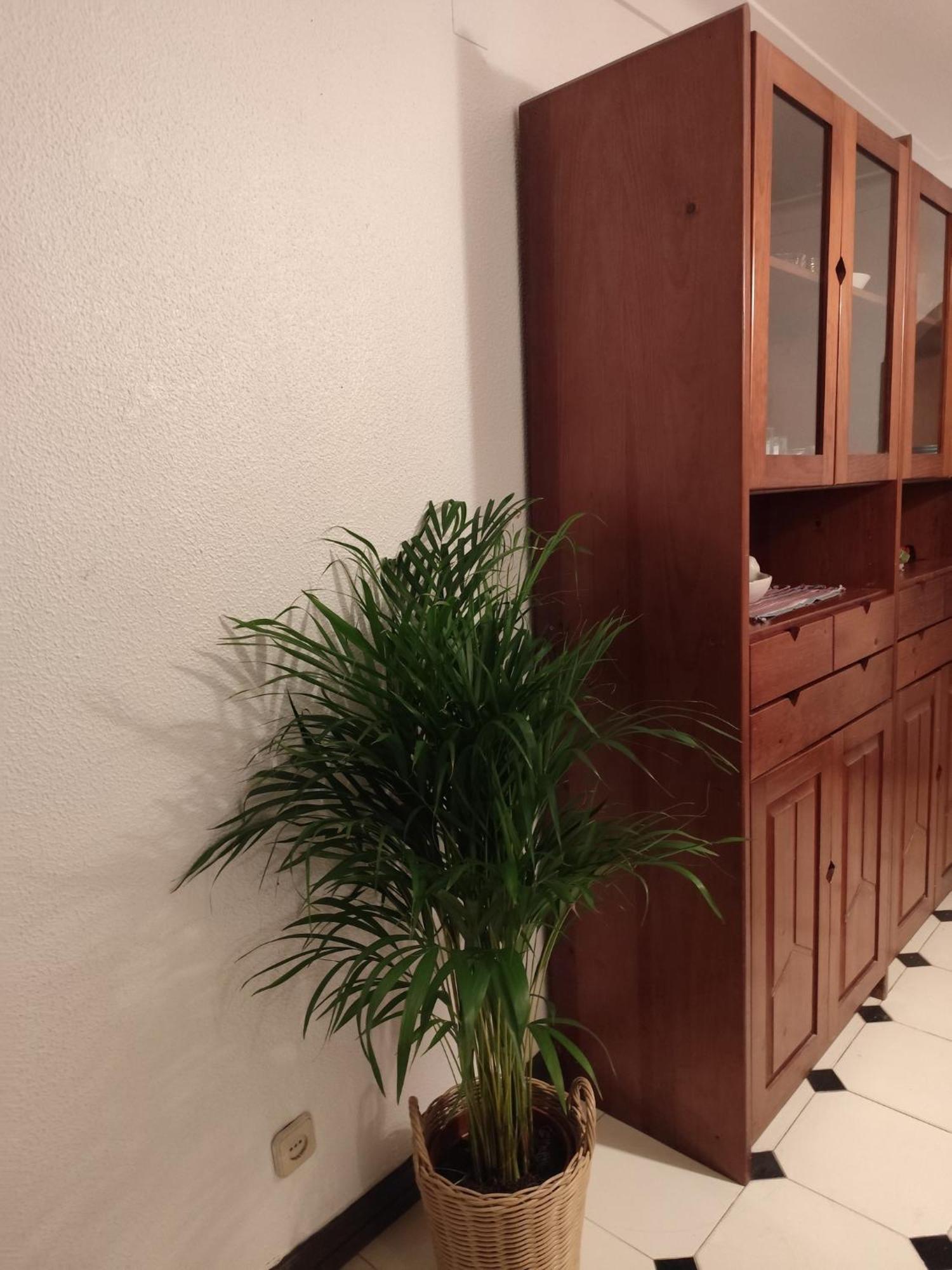 Casa Das Flores 알부페이라 외부 사진